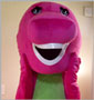 Adult Barney Costume
