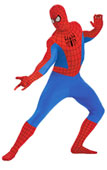 Spiderman Teen / Adult Costume